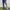 Casual Flare pants Wanita navy blue photo 2