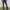 UNIONBAY Casual Flare pants Wanita navy blue photo 2