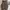 Casual Hoody Pria brown photo 1