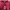 Nike Casual Jersey Pria burgundy photo 3