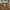 Dickies Casual Formal shirt Pria brown photo 2