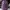 The North Face Luxury Sportswear Backpack Wanita Purple Pink