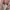 Bershka Streetwear Casual Fleece Pria pink photo 3