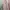 Bershka Streetwear Casual Fleece Pria pink photo 4