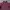 Casual Sweater Pria burgundy photo 2
