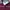 Casual Sweater Pria burgundy photo 4