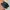 The North Face Streetwear Gorpcore Sneakers Pria black photo 6