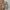Nike Sportswear Sneakers Pria tan gray photo 5