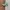 Adidas Streetwear Sneakers Pria white green photo 1
