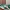 Adidas Streetwear Sneakers Pria white green photo 2