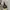 Adidas Streetwear Sportswear Sneakers Wanita gray yellow photo 5