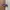Adidas Streetwear Sportswear Sneakers Wanita Purple White
