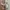 Adidas Streetwear Sneakers Pria red khaki photo 3