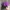 Made in USA Vintage Biker Hat Pria purple black photo 2