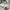 Noah Streetwear Skater Hoody Pria white photo 5