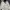 Gorpcore Puffer Jacket Pria White Black