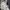 Gorpcore Puffer jacket Pria white black photo 2