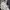 Gorpcore Puffer Jacket Pria White Black