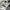 Gorpcore Puffer jacket Pria white black photo 4