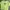 Casual T-shirt Pria green photo 1