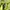 Casual T-shirt Pria green photo 5