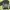 Vision Street Wear Streetwear Skater Denim jacket Pria gray photo 4