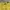 Spao Casual T-shirt Pria yellow photo 4