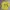 Spao Casual T-shirt Pria yellow photo 1