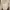 Streetwear Track jacket Pria cream photo 2