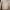 Streetwear Track jacket Pria cream photo 3