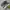 Asics Streetwear Sportswear Sneakers Pria multicolor photo 1