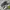 Asics Streetwear Sportswear Sneakers Pria Multicolor