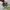 Asics Streetwear Sportswear Sneakers Pria multicolor photo 4