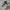 Asics Streetwear Sportswear Sneakers Pria multicolor photo 1