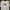 Hard Rock Cafe Casual T-shirt Pria white photo 1
