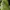 Luxury Sportswear Backpack Wanita green yellow photo 3