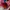 Eider Gorpcore Sportswear Windbreaker Pria pink blue photo 8