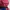 Eider Gorpcore Sportswear Windbreaker Pria pink blue photo 5