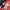 Adidas Casual Windbreaker Pria red black photo 2