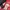 Adidas Casual Windbreaker Pria Red Black