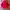 Adidas Casual Windbreaker Pria red black photo 1
