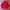 Adidas Casual Windbreaker Pria Red Black
