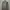 Puma Streetwear Y2K Sweatshirt Pria tan photo 1