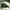Jeep Streetwear Hoody Pria multicolor photo 6