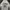 Jeep Streetwear Hoody Pria multicolor photo 2