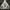 Jeep Streetwear Hoody Pria multicolor photo 1