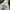 Jeep Streetwear Hoody Pria multicolor photo 4