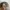 Avirex Streetwear Sportswear Hat Pria multicolor photo 2