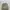 Avirex Streetwear Sportswear Hat Pria multicolor photo 1