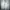 Adidas Gorpcore Sportswear Track jacket Pria white photo 1